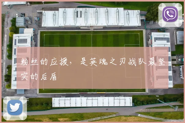 粉丝的应援,是英魂之刃战队最坚实的后盾