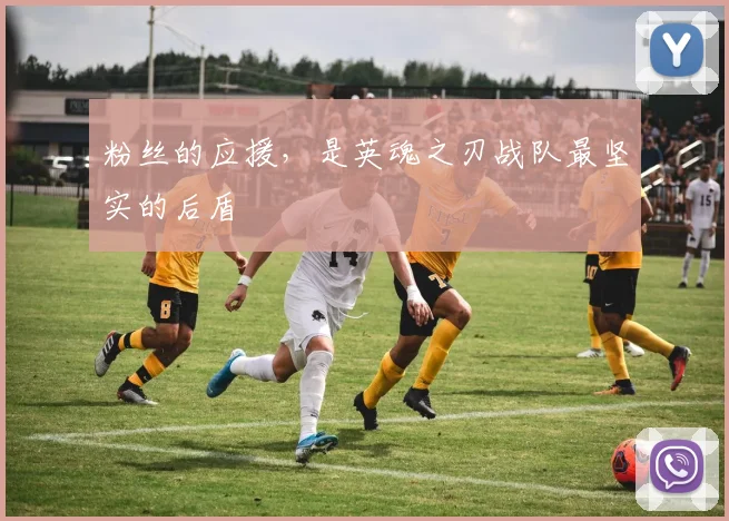 粉丝的应援，是英魂之刃战队最坚实的后盾