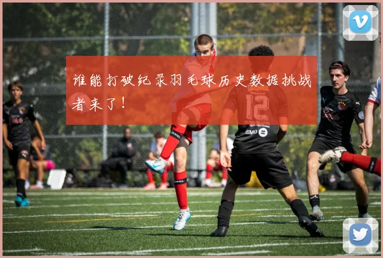 谁能打破纪录羽毛球历史数据挑战者来了！