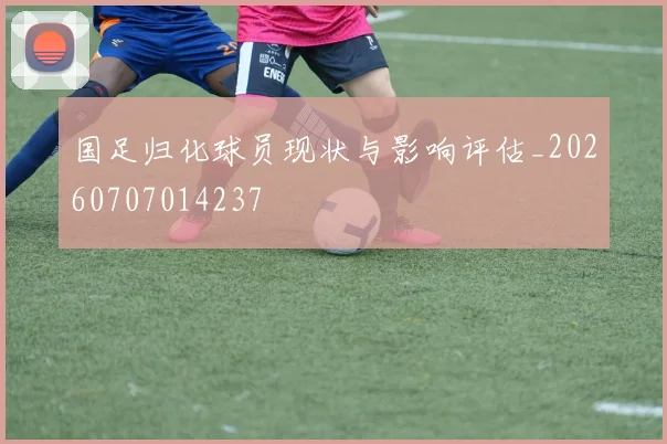 国足归化球员现状与影响评估_20260707014237